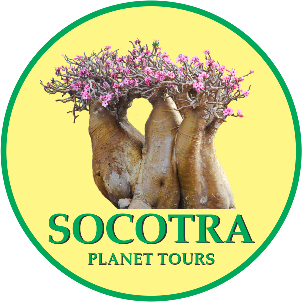 socotraplanettours logo