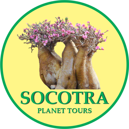 cropped-socotraplanettours-logo.png